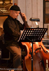 541481_247446922072528_1221809269_n