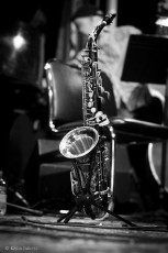 1454543_697565336929599_512786609_n